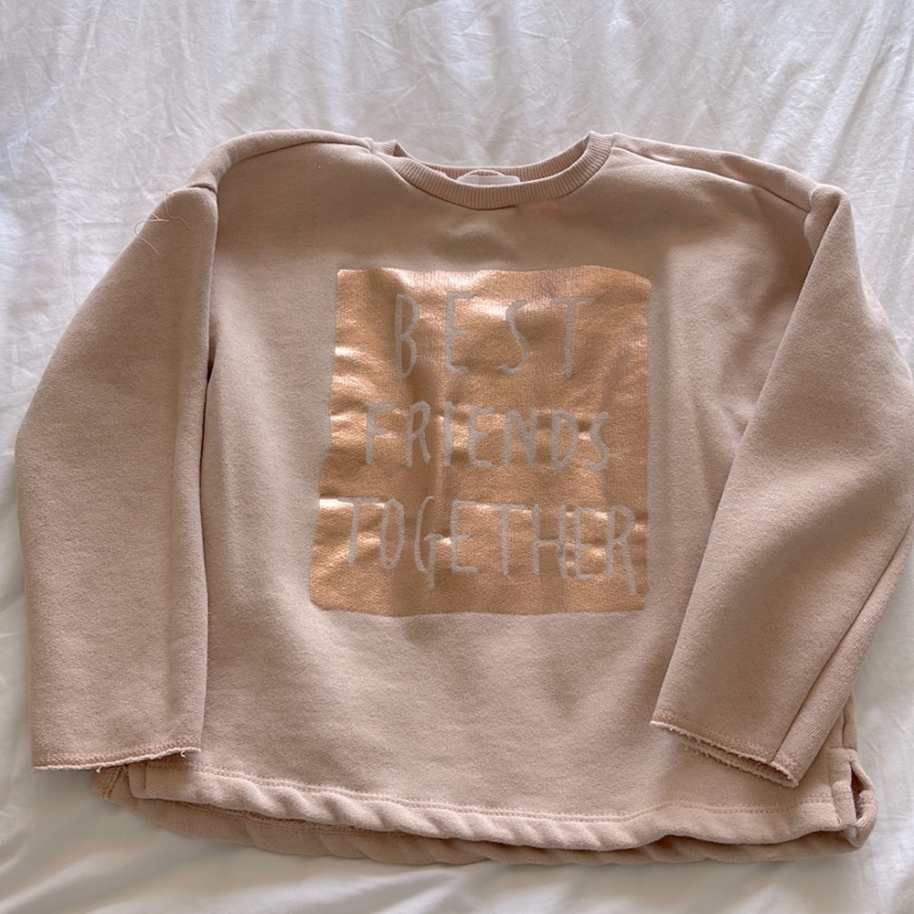 Cute Zara sweatshirt
